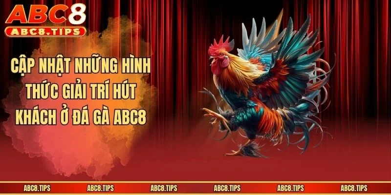 Cập nhật những hình thức giải trí hút khách ở đá gà ABC8