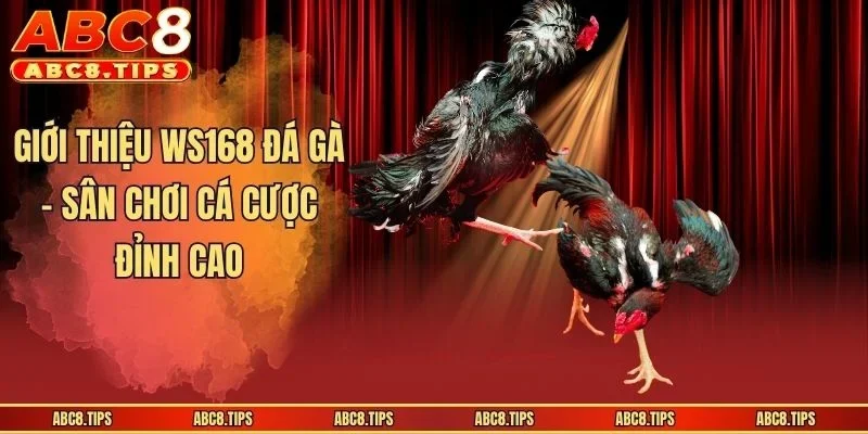 Giới thiệu WS168 đá gà - Sân chơi cá cược đỉnh cao